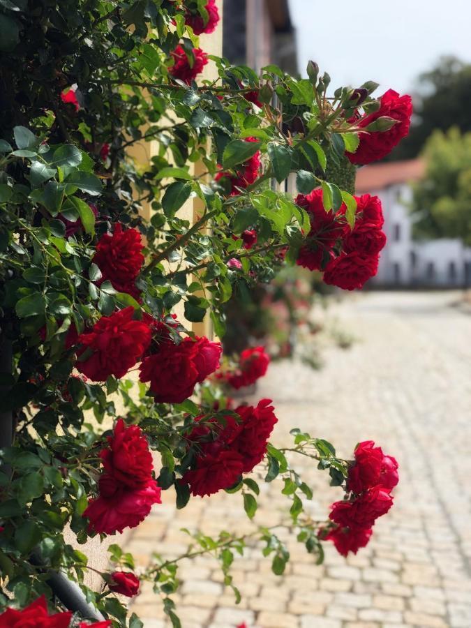 Rosen-Hotel Зангерхаузен Экстерьер фото